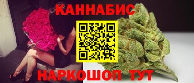 индика Обь